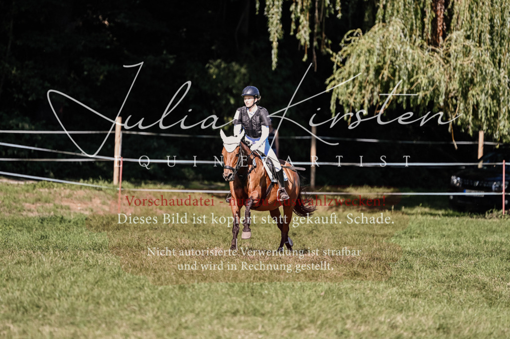 DSC_3472 | Pferde- und Turnierfotografie in Westsachsen. Pferdeportraits, Auftragszeichnungen und intuitive Kunst.