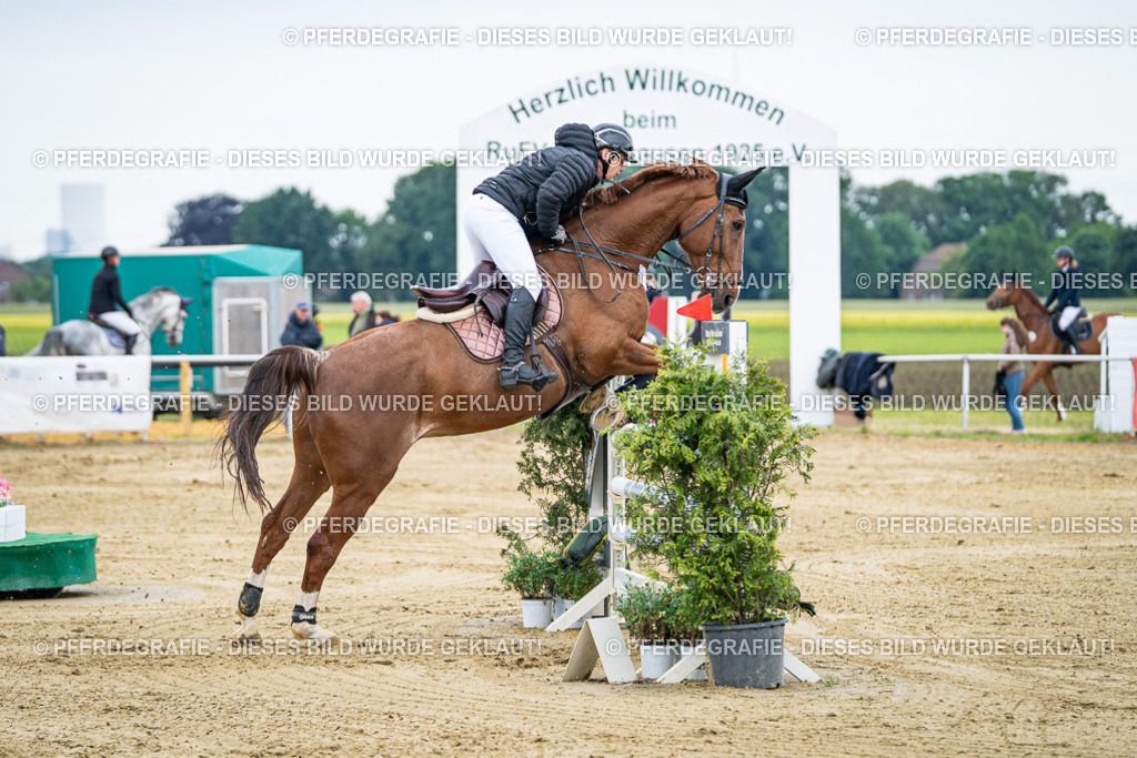 DSC05850 | Pferdegrafie