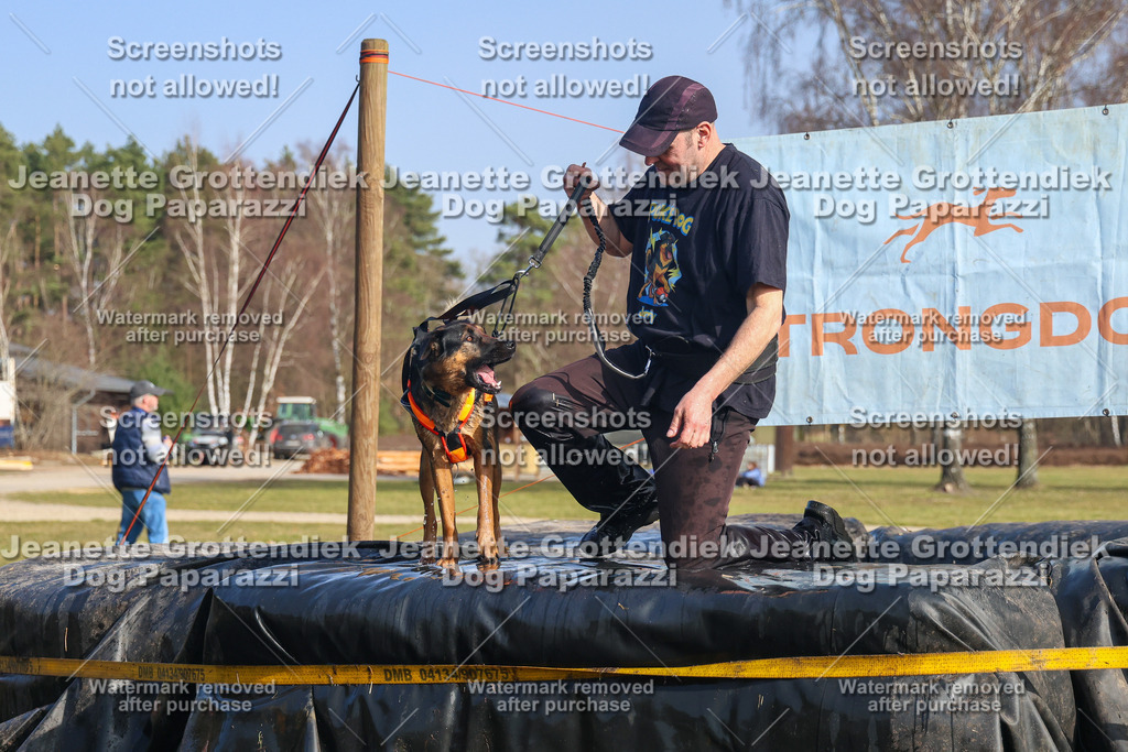 Dog Paparazzi - Strongdog North Mrz26-2940 | Dog Paparazzi Jeanette Grottendiek Fotografie & Videografie - Realisiert mit Pictrs.com