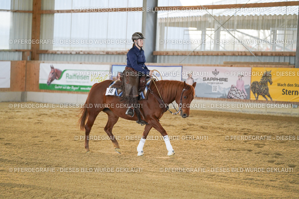 DSC08832 | Pferdegrafie