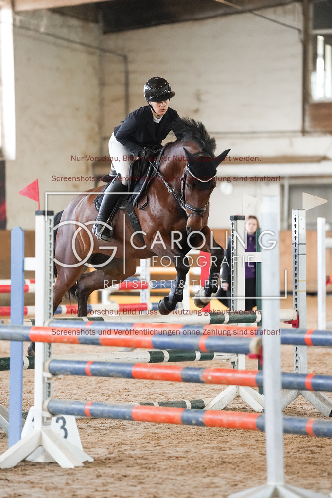 DSC09824 | Reitturnier_Göppingen_April_2026, Anna_Marlin_Stollwerck, Sheamus_HR