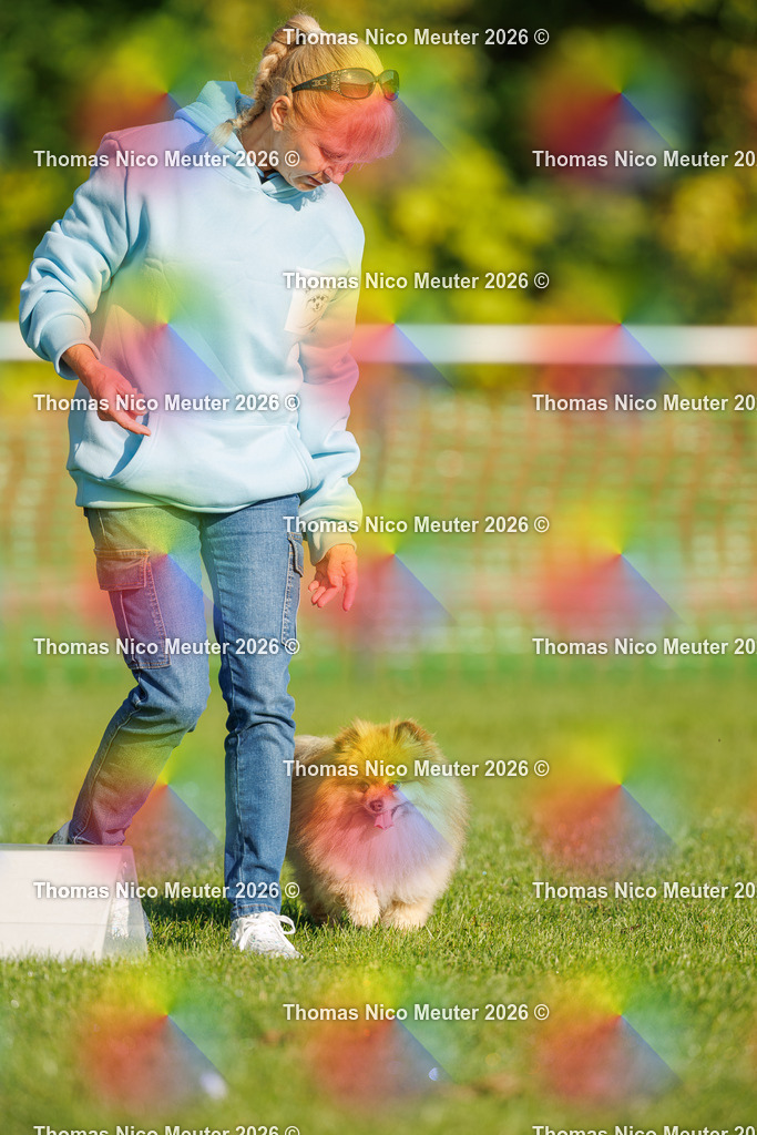 Thomas_Nico_Meuter(C)_04. Oktober 2026_223A0627 | Bild von Thomas Nico Meuter - Realisiert mit Pictrs.com