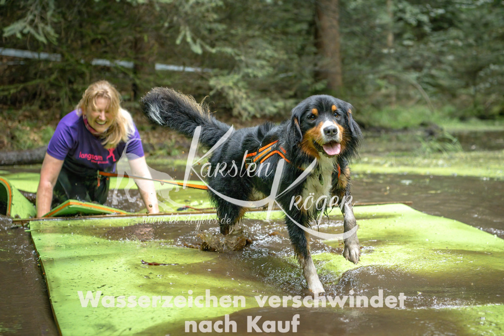 1537_ZZ91523-Bearbeitet | kk-dogfotos