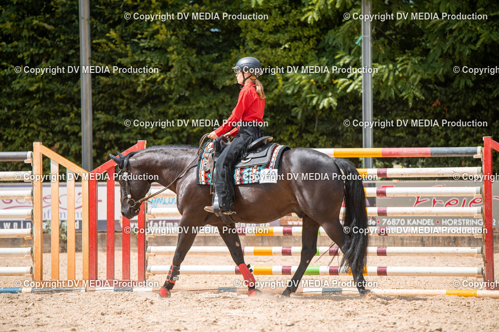 EWP_6652 | dv-media-shop - Realisiert mit Pictrs.com