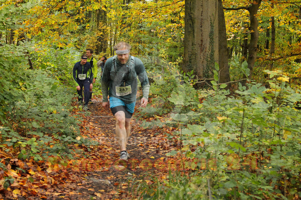 251026_1245_EV4_5725 | Sportfotografie im Rhein-Sieg Kreis, Köln, Bonn, NRW, Rheinland Pfalz, Hessen, etc. Unser Tätigkeitsfeld umfasst den Laufsport vom Volkslauf über den Marathon, Duathlon, Triathon bis zum Ultralauf wie Kölnpfad Ultra oder Schindertrail.
