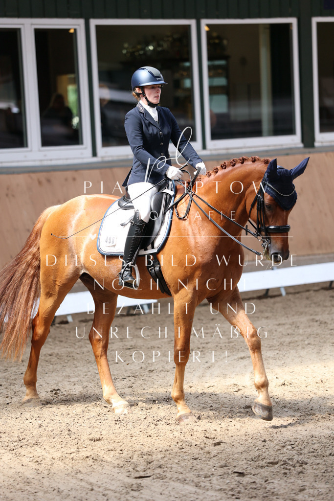 IMGM3074 | pl-fotografie