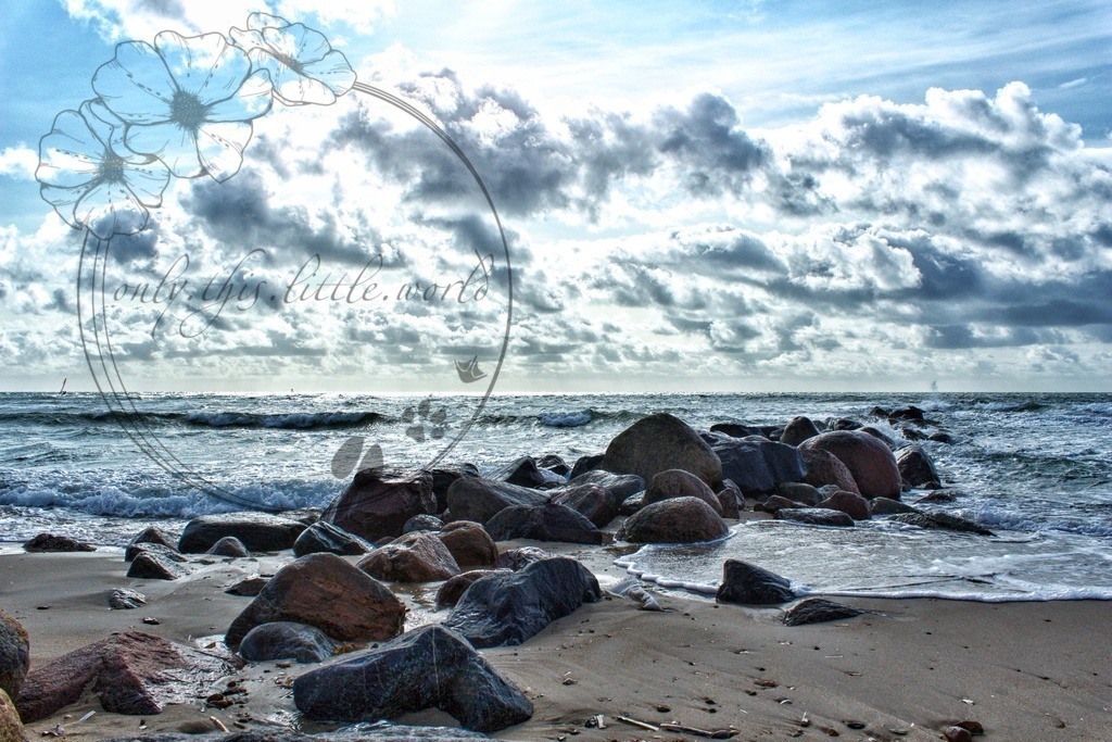 IMG_8086-01 | only.this.little.world - Realisiert mit Pictrs.com