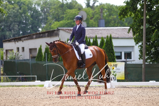 DKP42126 | Turniersportfotografie; Pferdefotografie; Dressurfotografie