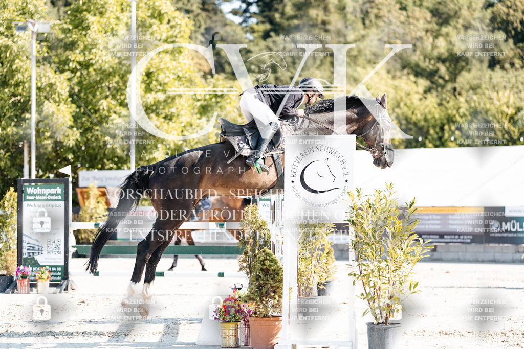 CK901904 | Turnierfotografie Pferdefotografie Trier Rheinland-Pfalz Pferdesport Reitsport Tierfotografie Sportfotografie Pferdevideo Pferdevideografie Equestrianvideography equestrianphotography  - Realisiert mit Pictrs.com