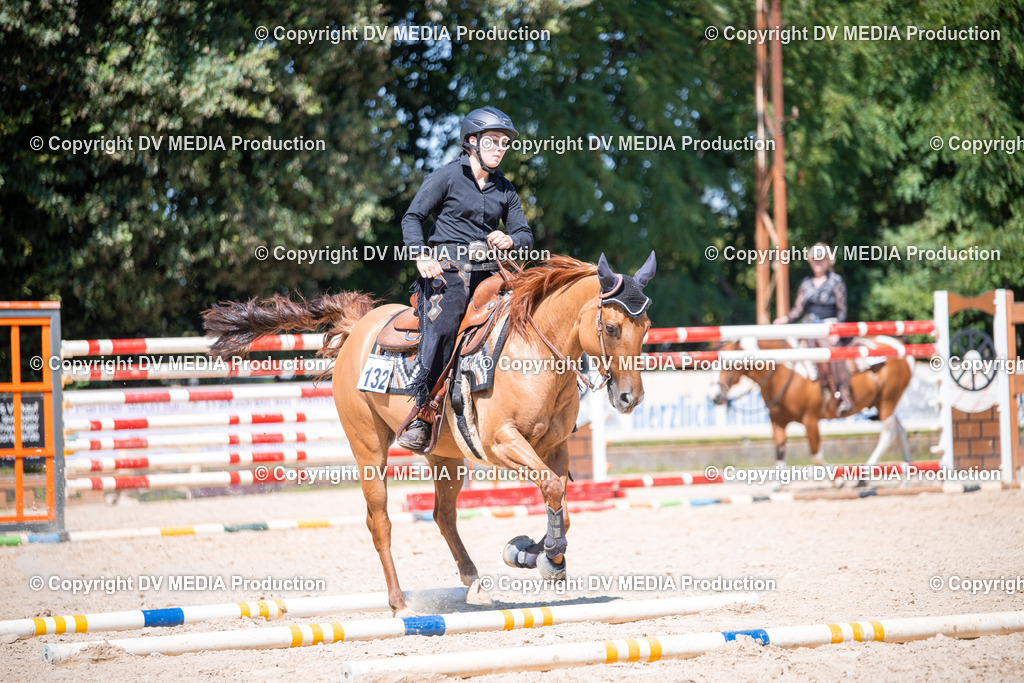 ZS1_1420 | dv-media-shop - Realisiert mit Pictrs.com