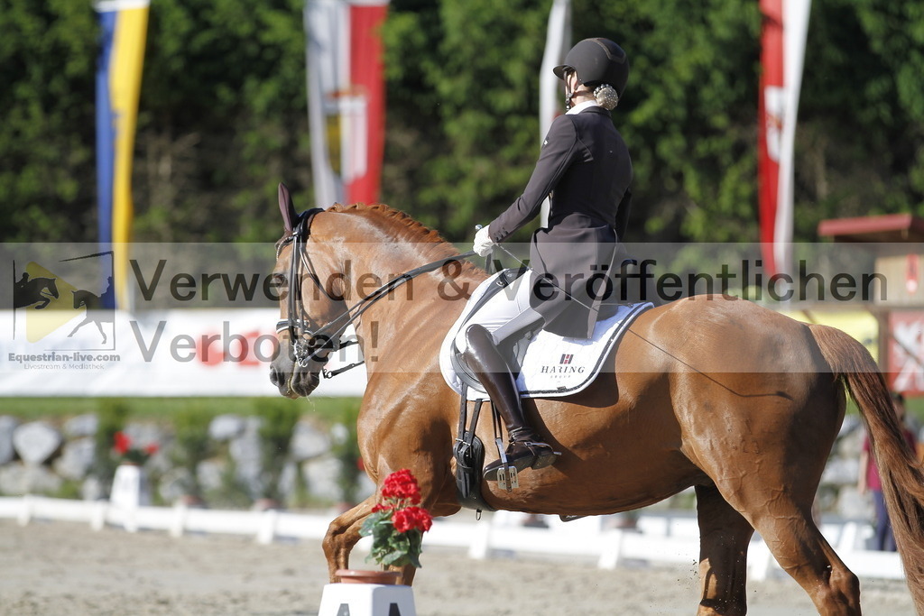 _MG_3249 | equestrian-live-com