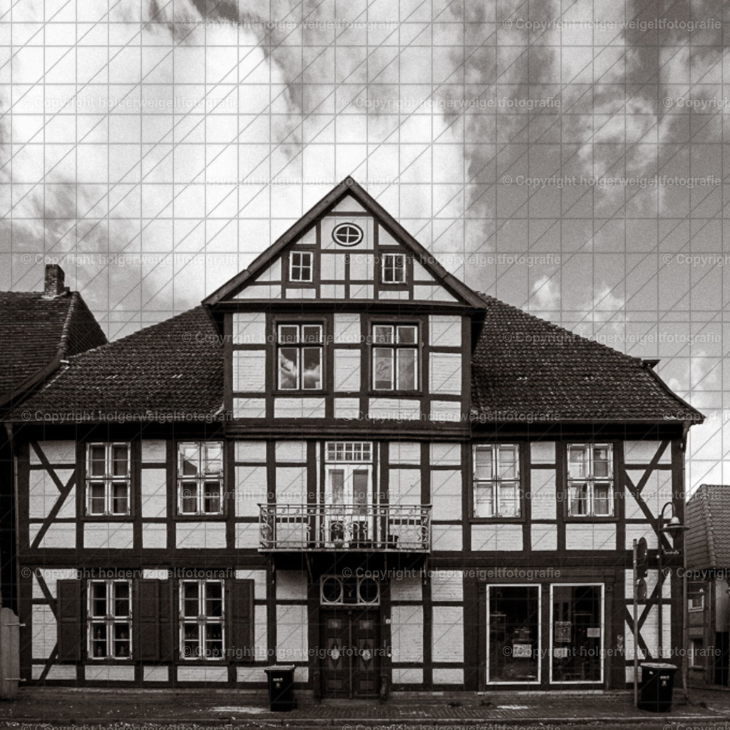 20221008122546D75_0721 | Kaufen sie online außergewöhnliche Fotografien auf Leinwand Acrylglas Fotoprint Aludibond von holgerweigeltfotografie - Realisiert mit Pictrs.com