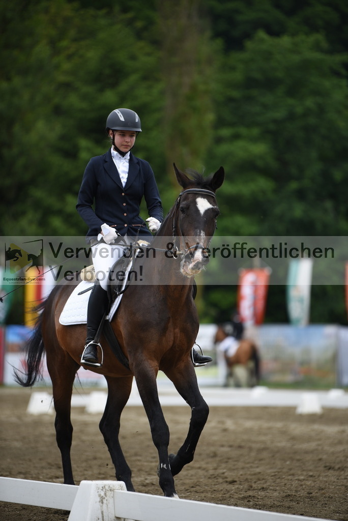 DSC_8104 | equestrian-live-com