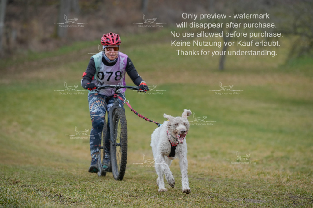 Sa_Scooter1-84 | stephaniefillaphotographie - Realisiert mit Pictrs.com