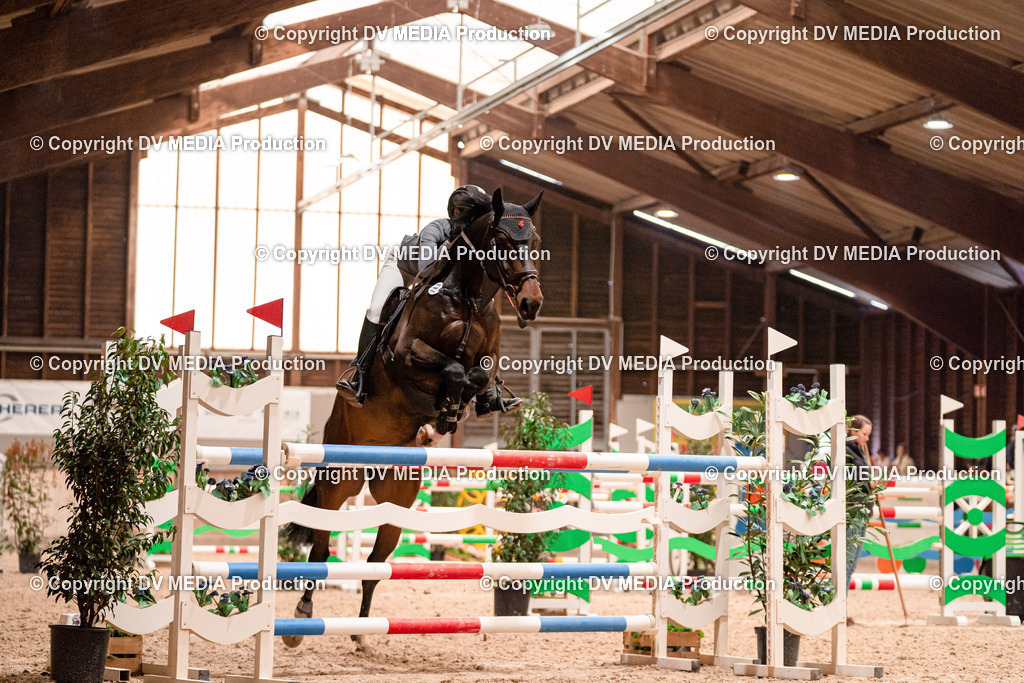 Springen Tag 3-367 | dv-media-shop - Realisiert mit Pictrs.com