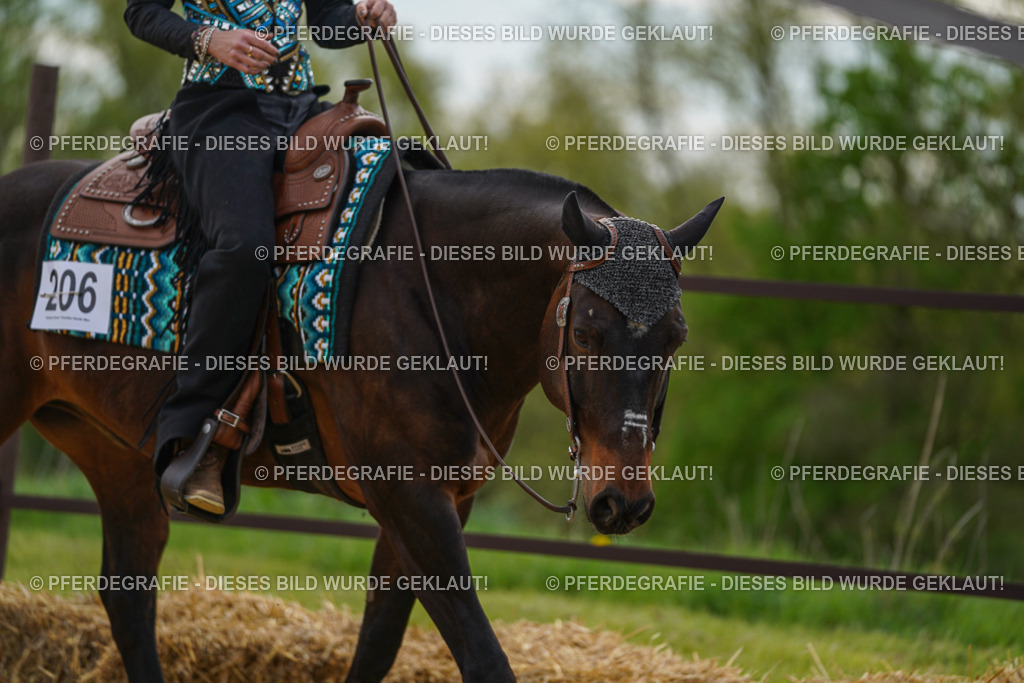 DSC03147 | Pferdegrafie