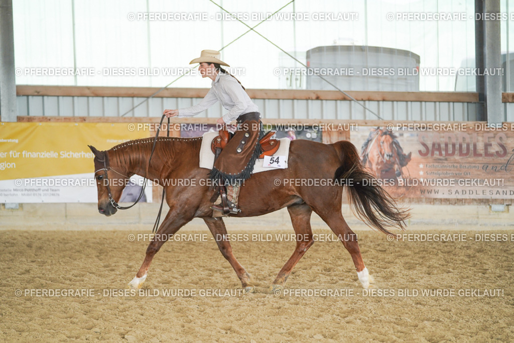 DSC01361 | Pferdegrafie