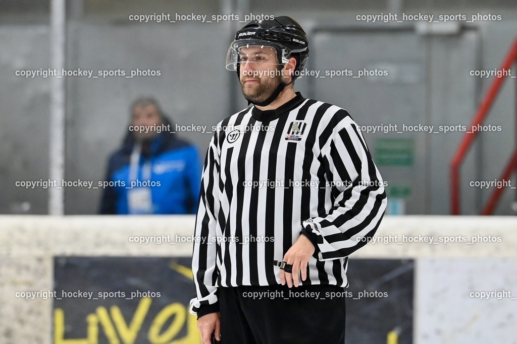 BST_3780 | hockey sports photos, Pressefotos, Sportfotos, hockey247, win 2day icehockeyleague, Handball Austria, Floorball Austria, ÖVV, Kärntner Eishockeyverband, KEHV, KFV, Kärntner Fussballverband, Österreichischer Volleyballverband, Alps Hockey League, ÖFB, 