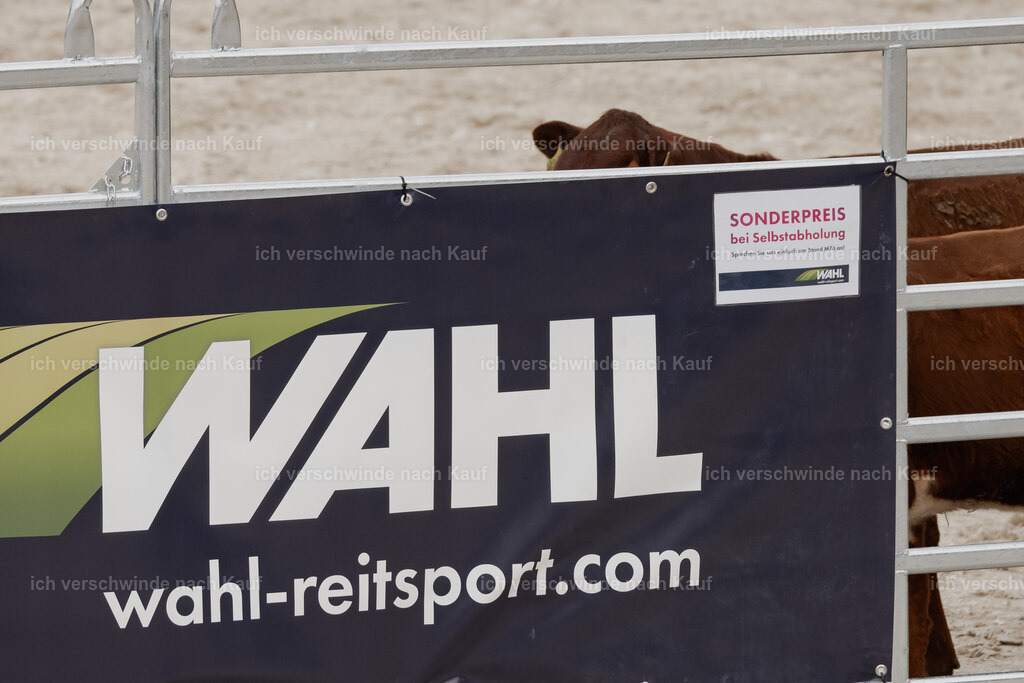 WE__Stoib_Rinder_PI2025_3019 | Pferd International München 2025