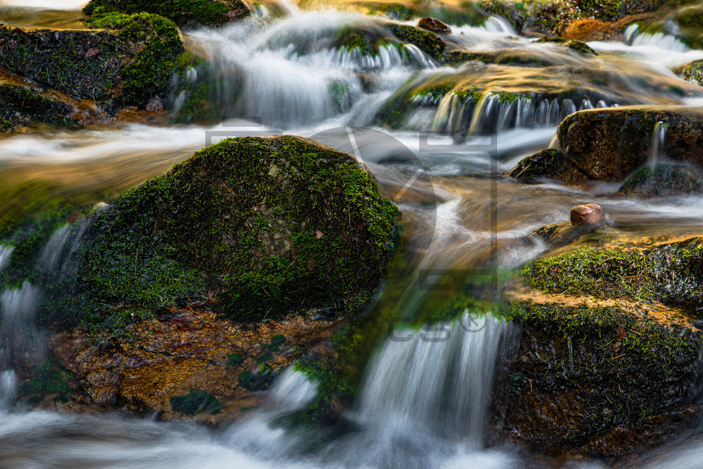 Allerheiligen Wasserfälle | Diese Wasserfälle gehören zu den größten und schönsten im Schwarzwald. Man fühlt sich fast wie im Hochgebirge Österreichs oder der Schweiz. Der 1840 erschlossene Wasserfall fällt über mehrere Ebenen knapp 90 Meter in die Tiefe während Wanderer ihn auf seinem Weg auf Pfaden, Treppen und über Brücken hinweg begleiten können. - Realisiert mit Pictrs.com