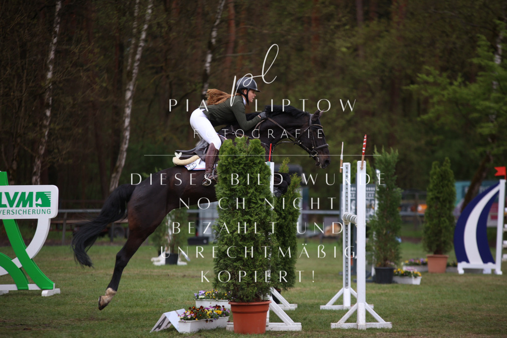 IMGT1790 | pl-fotografie