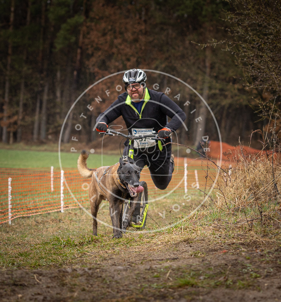 DV3A9474 | Hundefotografie, Tierfotograf, Pfotenfotografie, Fotoshooting Hund, Hunde Portrait, Hundesport, Hundeportraits, Heideshooting, Hunde, Sportfotograf, Hundefotograf, Turnierhundsport, THS,  - Realisiert mit Pictrs.com