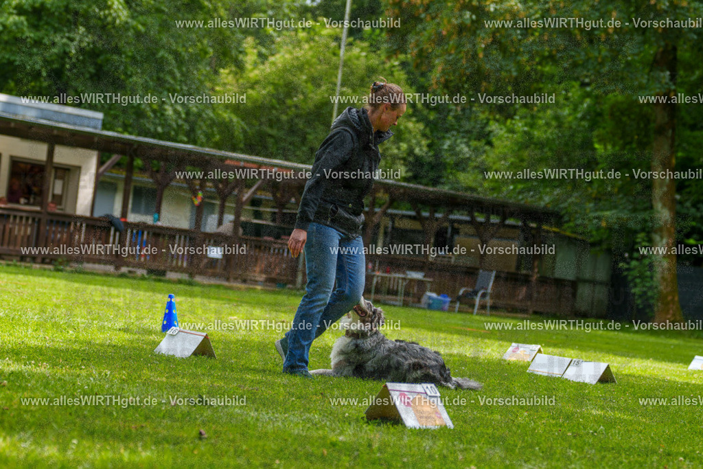 @allesWIRTHgut_Tierfotografie - www.allesWIRTHgut.de - 7R502117 | Professionelle Tierfotografie in Mönchengladbach von Daniel Wirth (allesWIRTHgut). Liebevolle & natürliche Bilder von Hunden & Katzen für unvergessliche Erinnerungen.