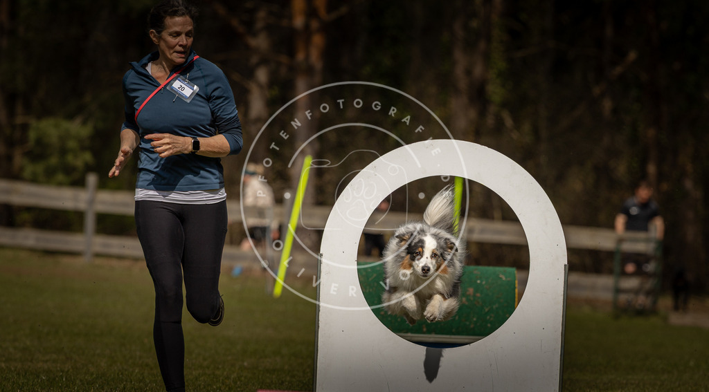 Pfotenfotografie_DV3A5195 | Hundefotografie, Tierfotograf, Pfotenfotografie, Fotoshooting Hund, Hunde Portrait, Hundesport, Hundeportraits, Heideshooting, Hunde, Sportfotograf, Hundefotograf, Turnierhundsport, THS,  - Realisiert mit Pictrs.com