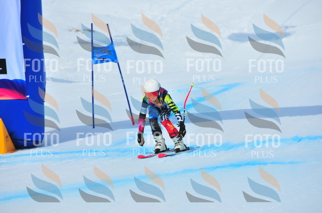 DSC_6868 | holidayphoto