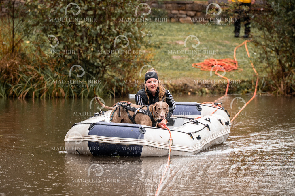 madeleinebirr-fotografie2025.campcanis.11-12Uhr-341 | hundefotografie-birr