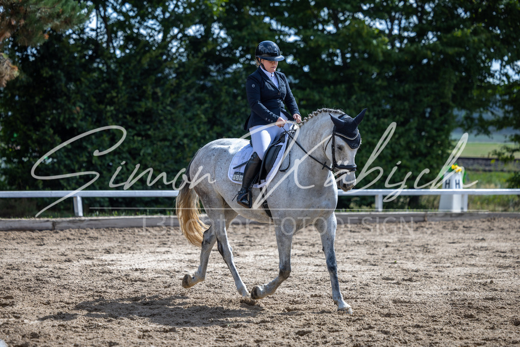 20260905-_3LI7721 | Tierfotografie Pferde, Hunde, Katzen, Haustiere.
Turnierfotografie Reitturniere, Reiten, Springreiten, Dressur in Hanau, dem Main-Kinzig-Kreis und dem Rhein-Main- Gebiet um Frankfurt