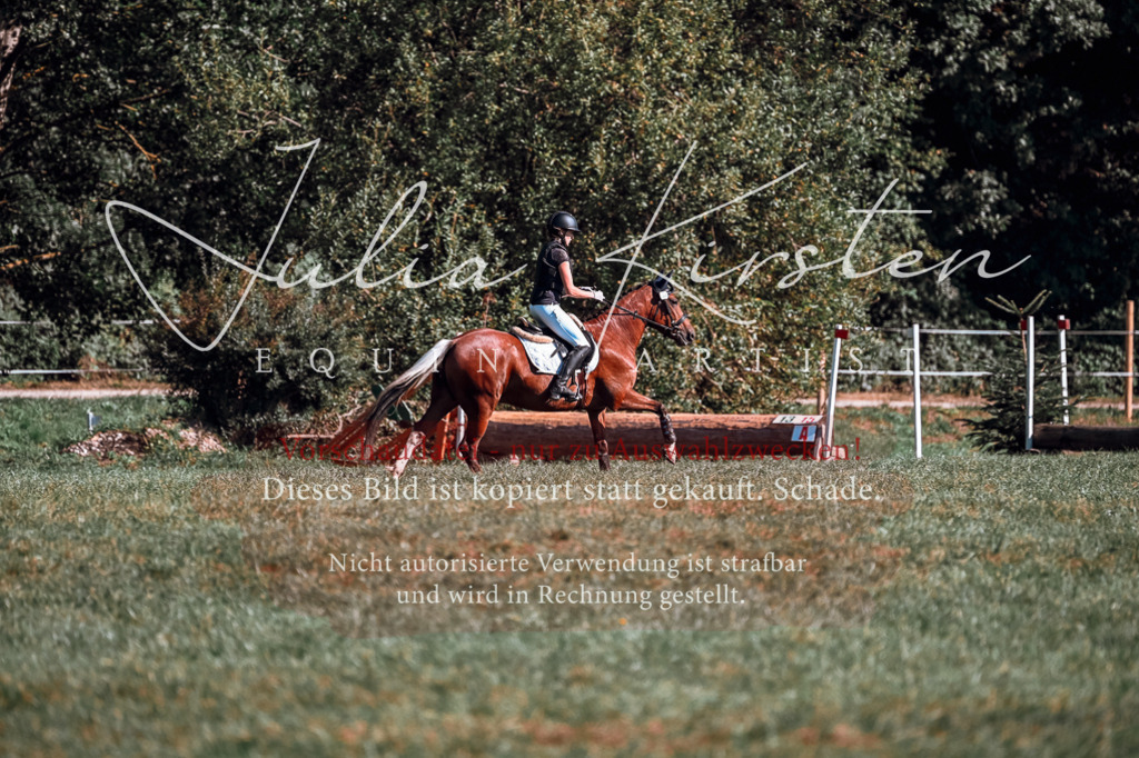 DSC_0931 | Pferde- und Turnierfotografie in Westsachsen. Pferdeportraits, Auftragszeichnungen und intuitive Kunst.