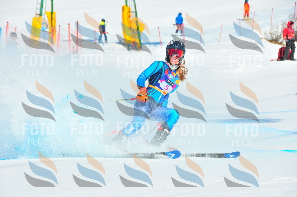 DSC_3698 | holidayphoto