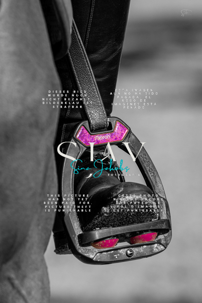 IMG_5889 | s-jay-photography - Realisiert mit Pictrs.com