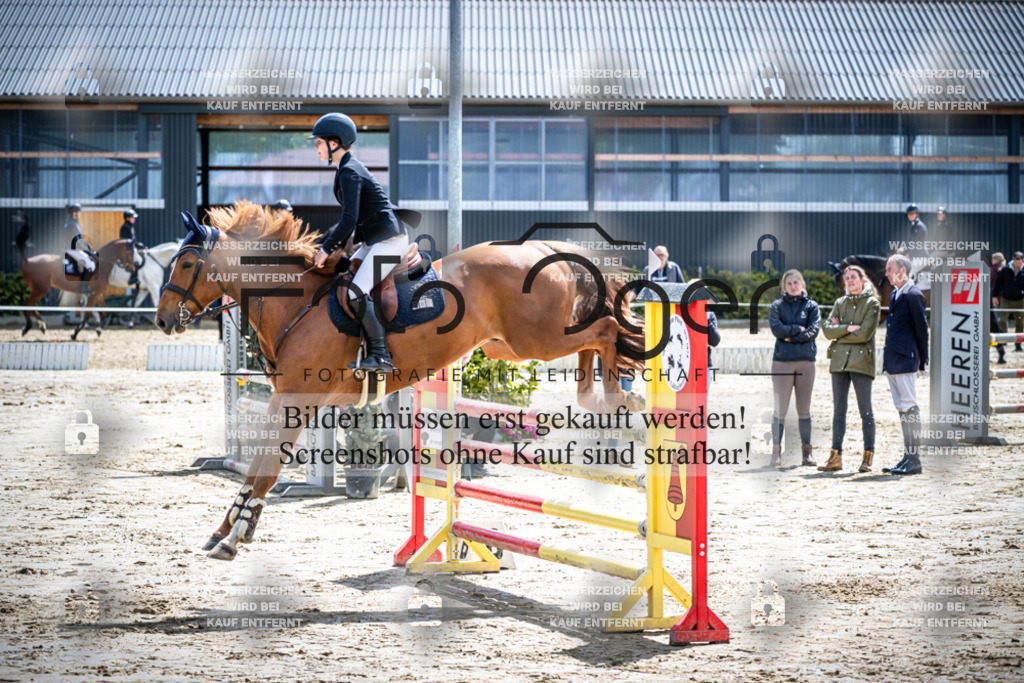 DOS_1817 | Reitturnier Lüdinghausen - Realisiert mit Pictrs.com