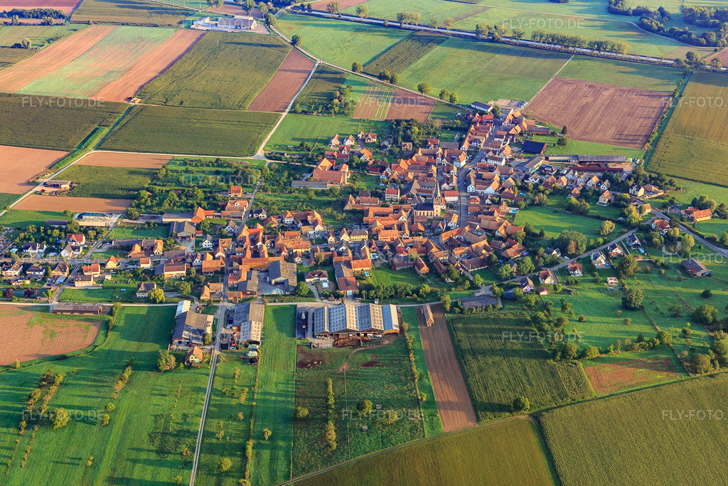 Luftbild: Ortsansicht aus Süden in Ingenheim im Bundesland Bas-Rhin in Frankreich. – Foto: IMG_138043.jpg vom 19.08.2023 durch Werner Riehm/FLY-FOTO.de – Auflösung des Originals: 5472 x 3648 px