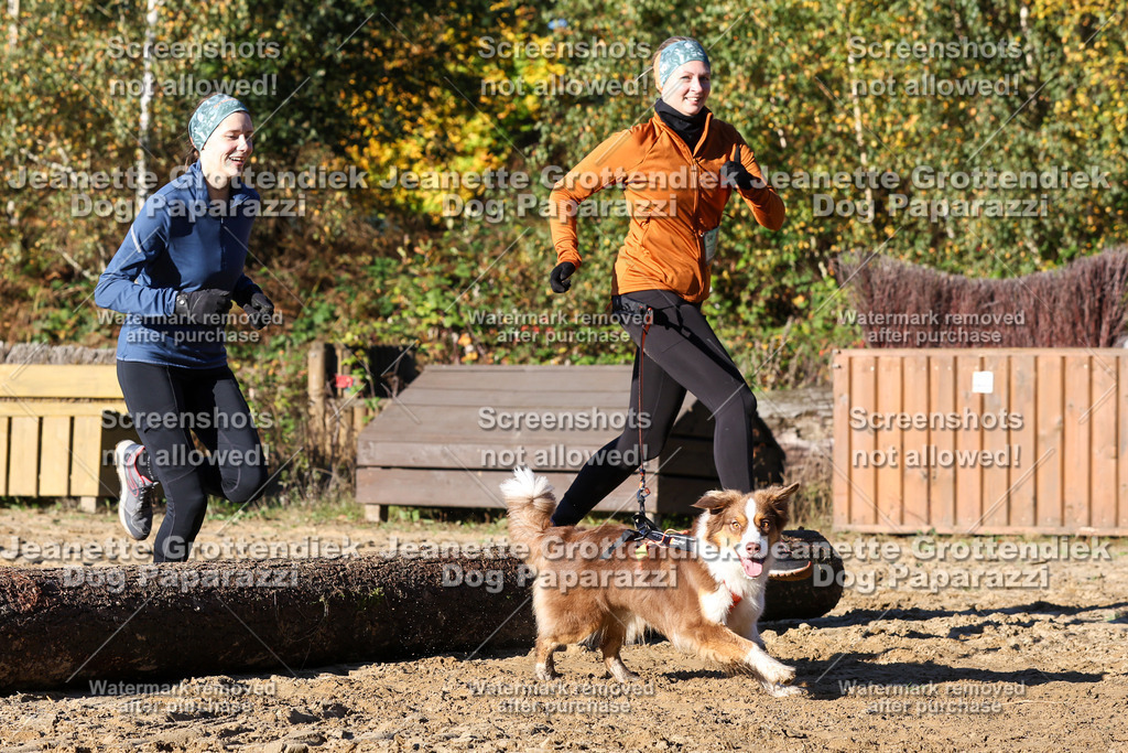 Dog Paparazzi - Strongdog 10-25-1638 | Dog Paparazzi Jeanette Grottendiek Fotografie & Videografie - Realisiert mit Pictrs.com