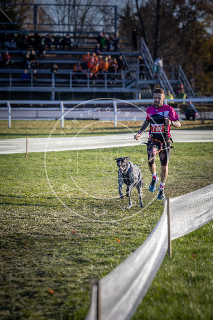CaniXpix_DV3A2643 | Hundefotografie, Tierfotograf, Pfotenfotografie, Fotoshooting Hund, Hunde Portrait, Hundesport, Hundeportraits, Heideshooting, Hunde, Sportfotograf, Hundefotograf, Turnierhundsport, THS,  - Realisiert mit Pictrs.com