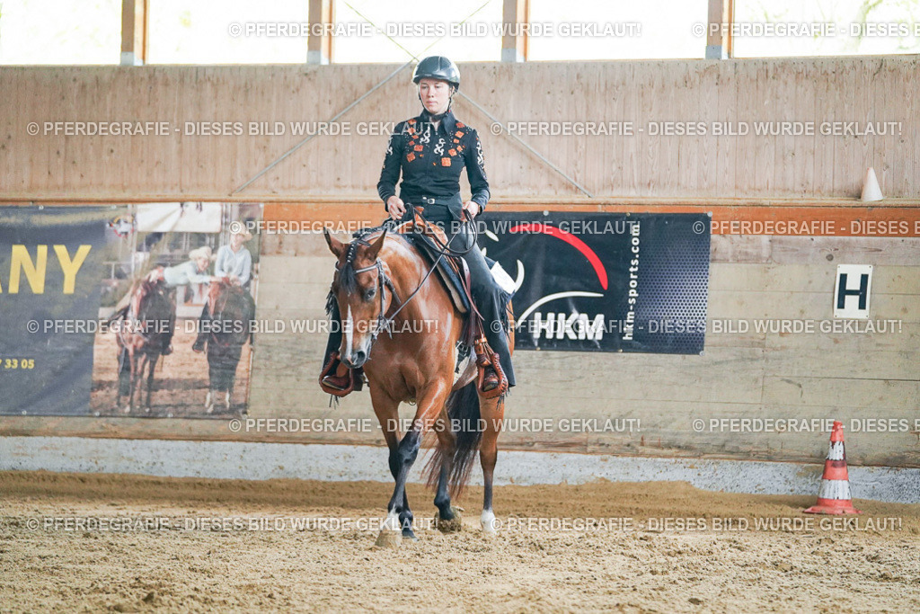 DSC05439 | Pferdegrafie