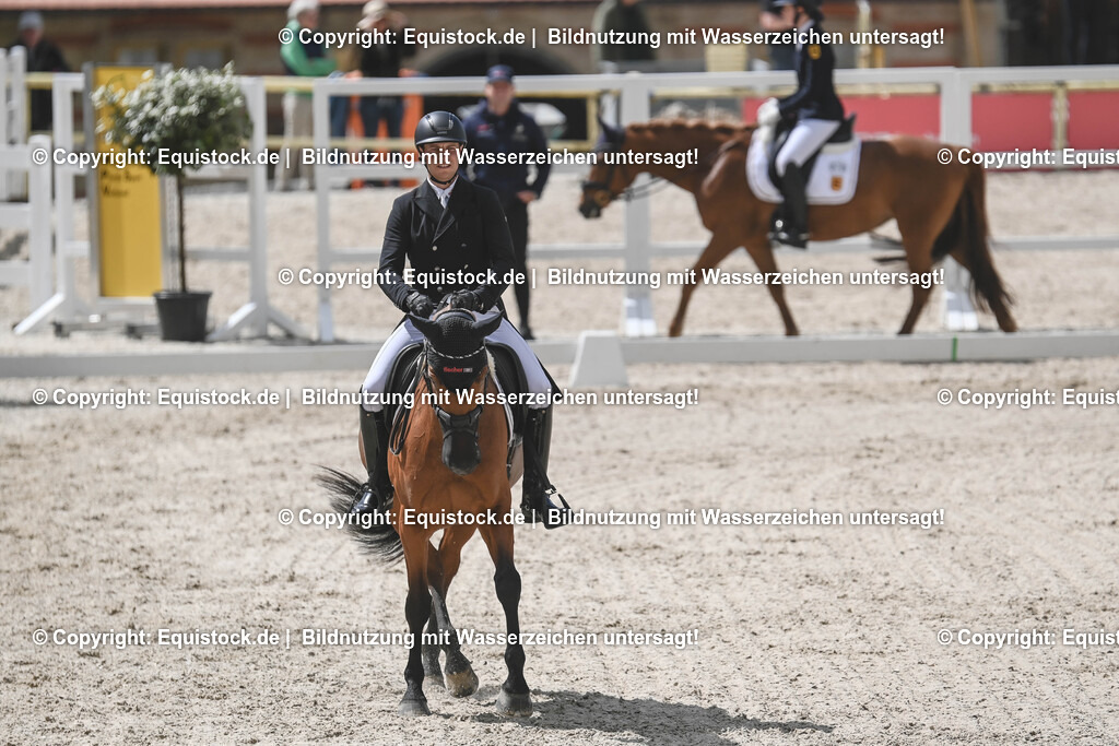 20250516_CCI2_Dressur_0369 | Foto: Thomas Hartig