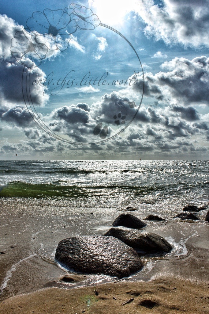 IMG_8060-01 | only.this.little.world - Realisiert mit Pictrs.com