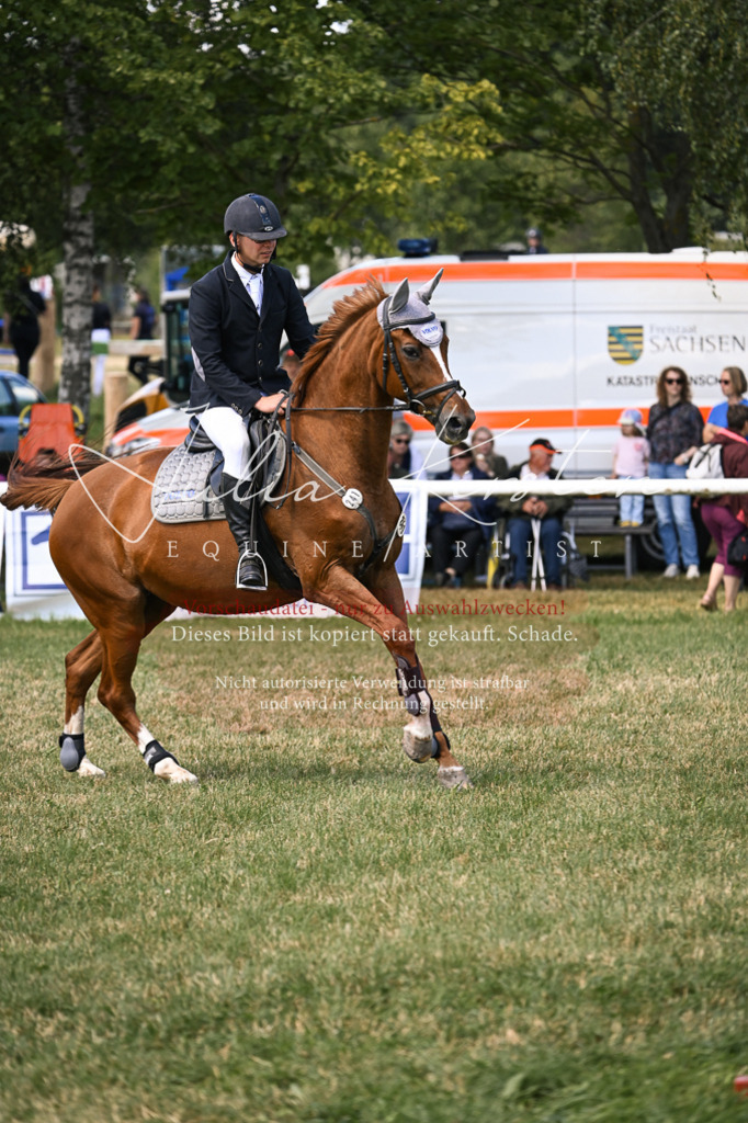 DSC_0367 | Pferde- und Turnierfotografie in Westsachsen. Pferdeportraits, Auftragszeichnungen und intuitive Kunst.