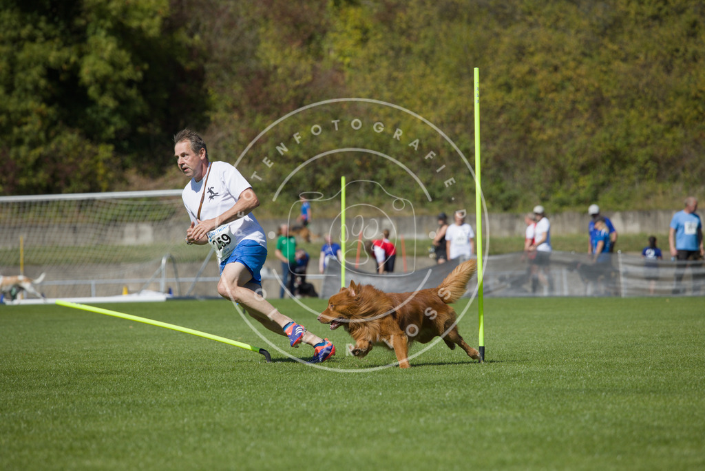 0L8A6427 | Hundefotografie, Tierfotograf, Pfotenfotografie, Fotoshooting Hund, Hunde Portrait, Hundesport, Hundeportraits, Heideshooting, Hunde, Sportfotograf, Hundefotograf, Turnierhundsport, THS,  - Realisiert mit Pictrs.com