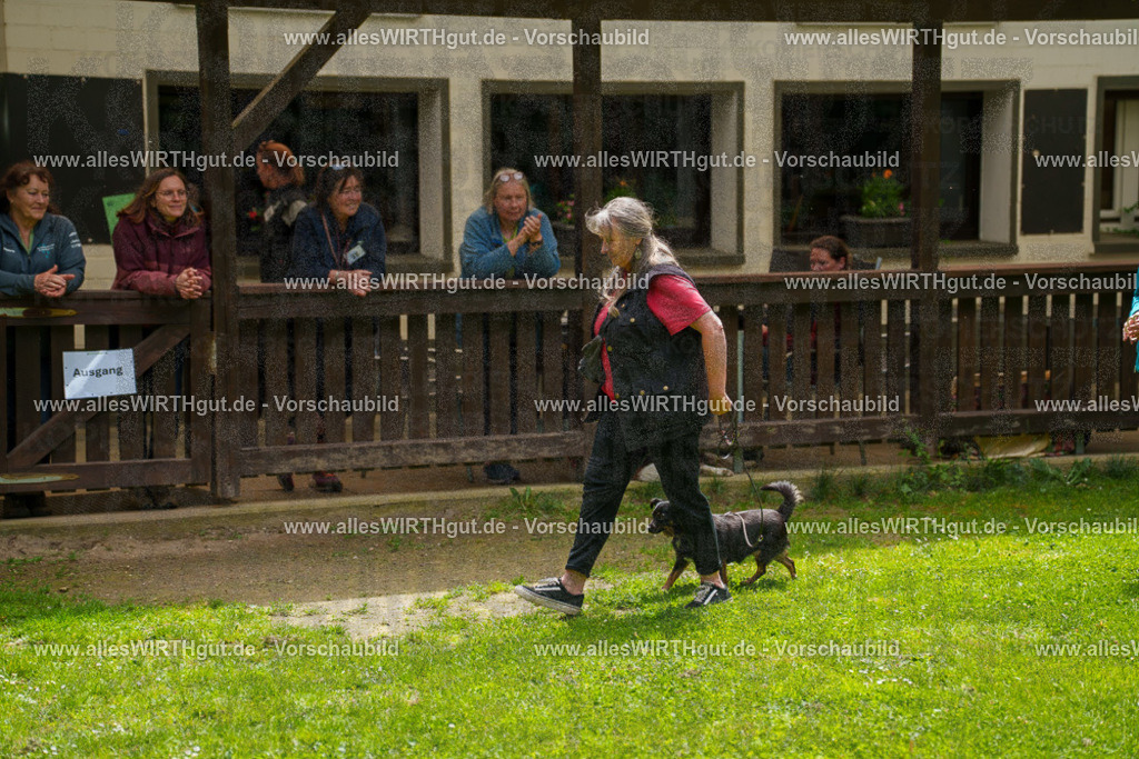 @allesWIRTHgut_Tierfotografie - www.allesWIRTHgut.de - 114808-7R508545 | Professionelle Tierfotografie in Mönchengladbach von Daniel Wirth (allesWIRTHgut). Liebevolle & natürliche Bilder von Hunden & Katzen für unvergessliche Erinnerungen.