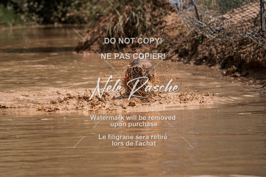 nelerasche_Hoope2026_So1400-1430_105 | nelerasche