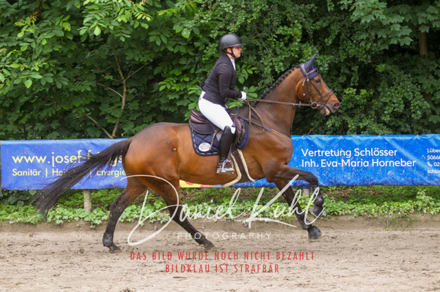 DKP44992 | Turniersportfotografie; Pferdefotografie; Dressurfotografie