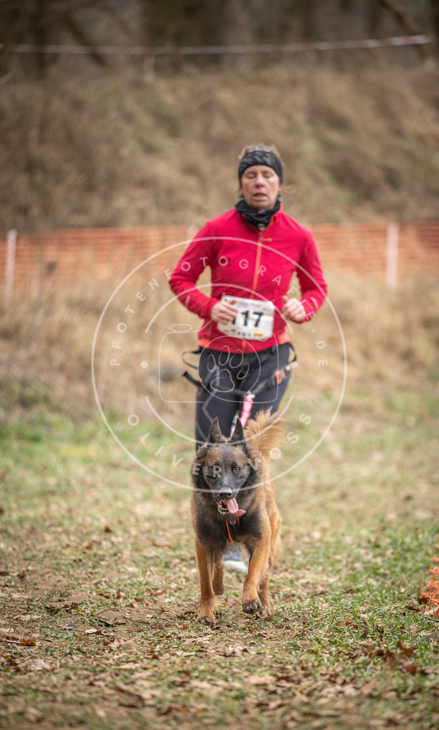 Pfotenfotografie_DV3A7627 | Hundefotografie, Tierfotograf, Pfotenfotografie, Fotoshooting Hund, Hunde Portrait, Hundesport, Hundeportraits, Heideshooting, Hunde, Sportfotograf, Hundefotograf, Turnierhundsport, THS,  - Realisiert mit Pictrs.com