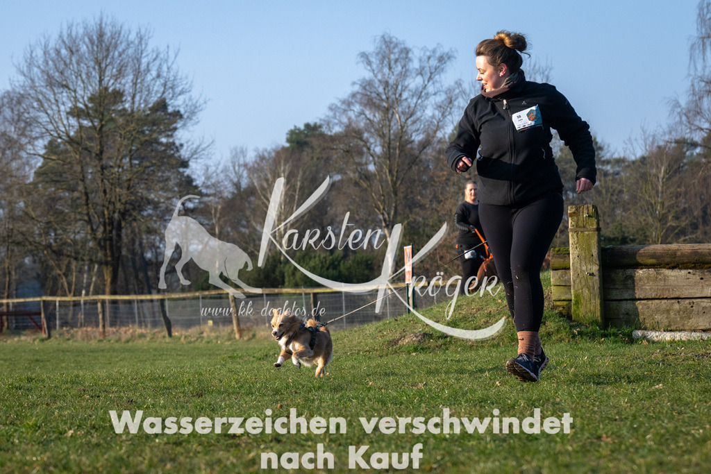 _ZZ91188 | kk-dogfotos