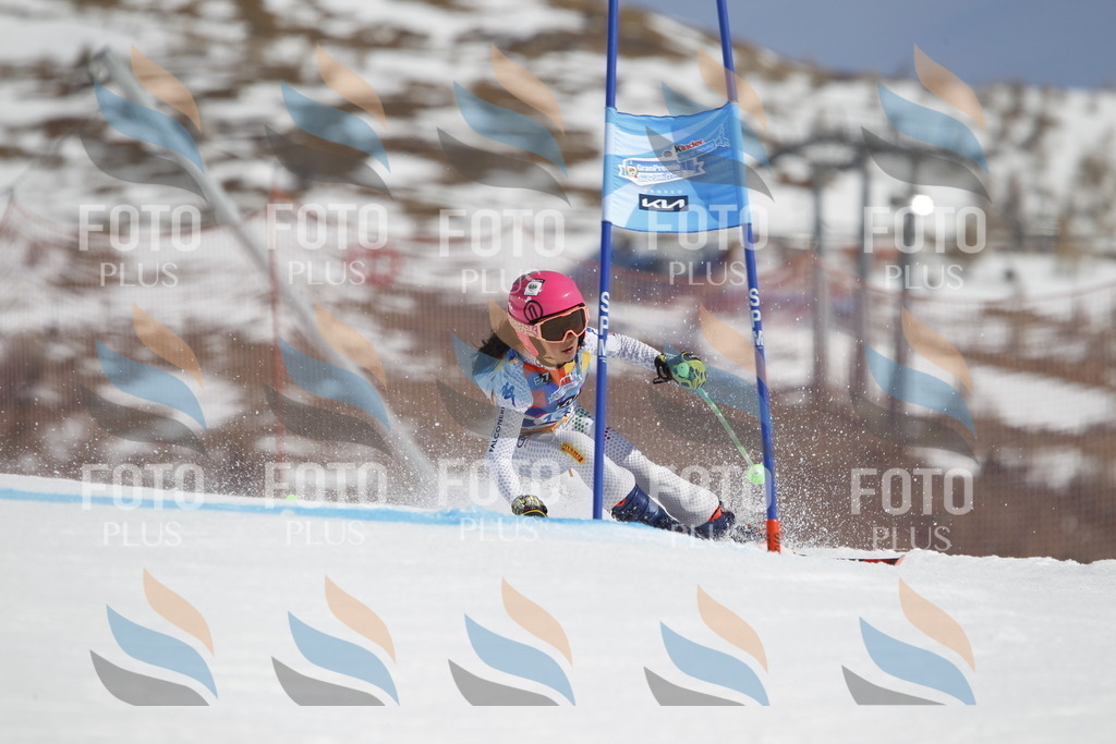 _U3G0884 | holidayphoto