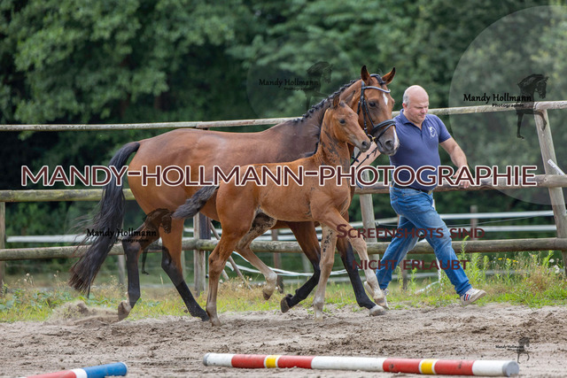 Hexenberg-206 | mandyhollmannphotographie